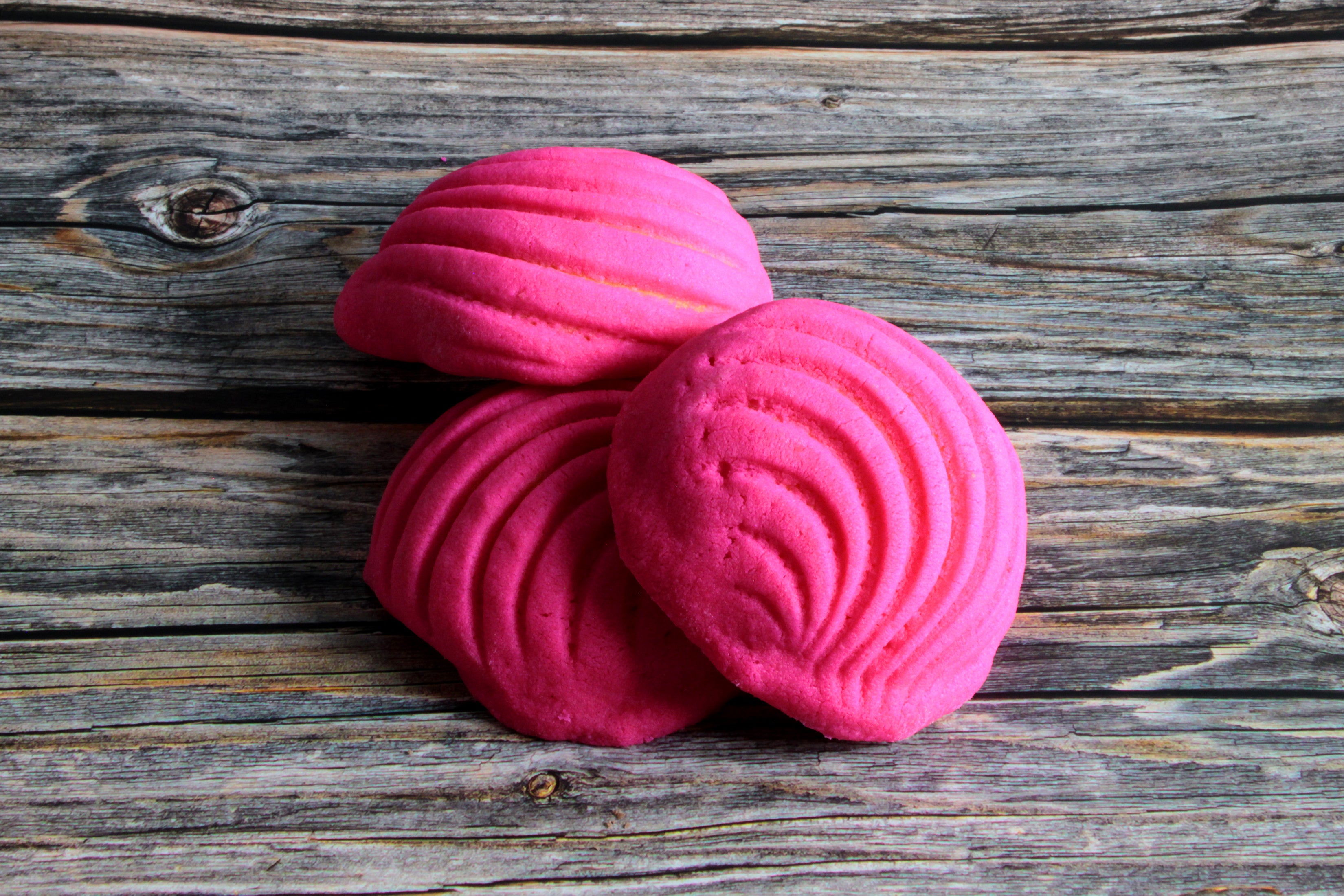 Raw Frozen Variety Conchas – 24ct