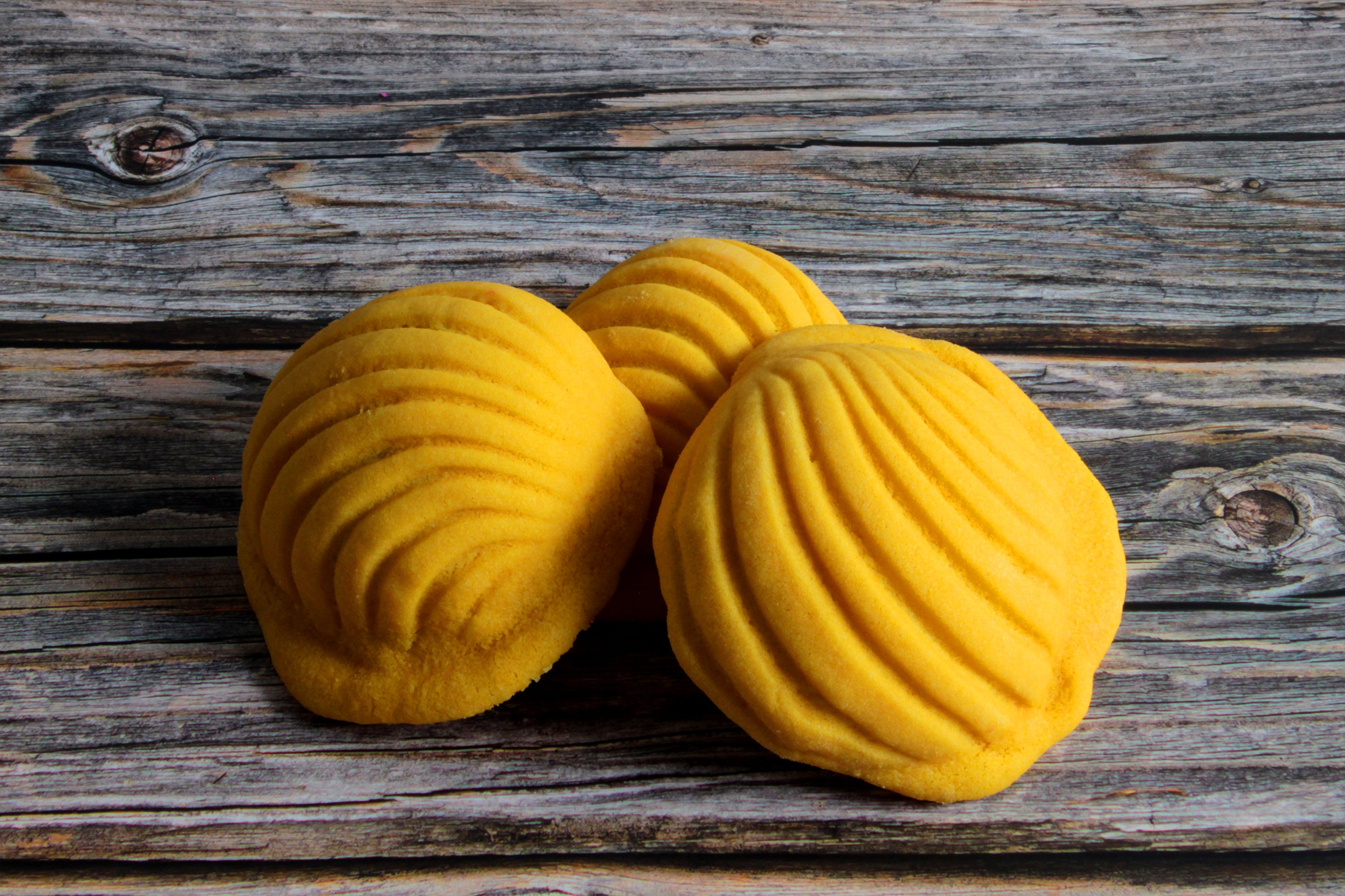 Raw Frozen Variety Conchas – 24ct